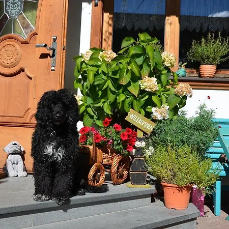 דירה Haus Sonnleiten