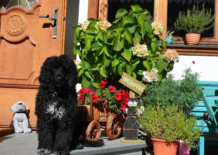 Apartamento Haus Sonnleiten