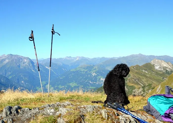 豪斯索尼莱顿公寓 *