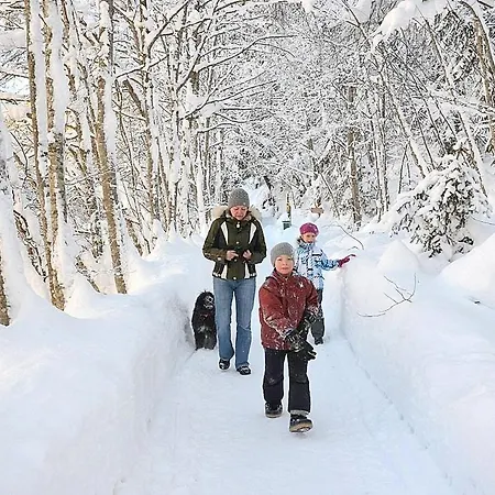 Haus Sonnleiten 아파트