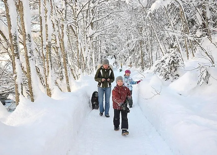 Haus Sonnleiten Lejlighed